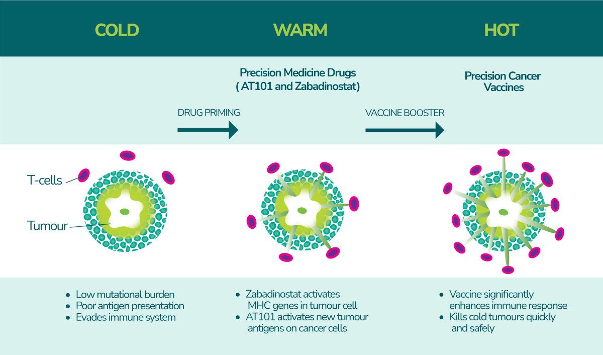 Final Ingenox cell diagram